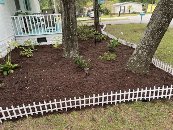 Mulch bed with a white picket border under an oak