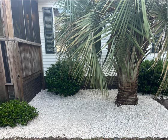 White rock bed under a palmetto by a screened porch