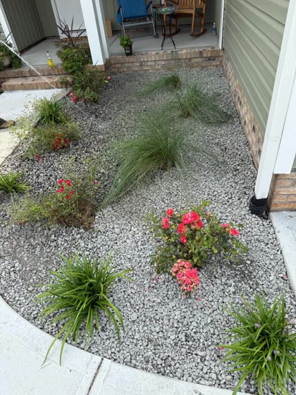 Rock bed with flowering plants and grasses