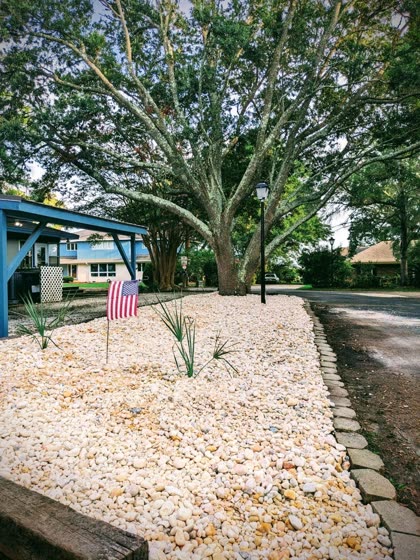 Rock bed around a live oak
