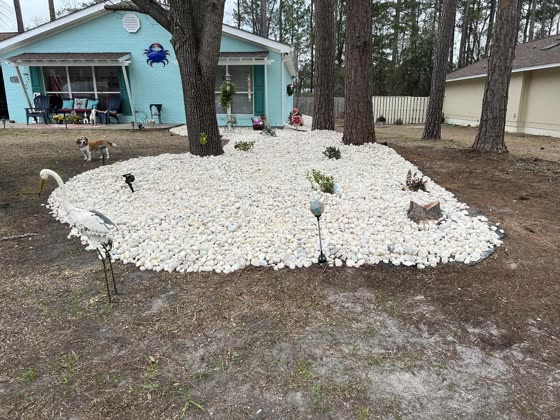 Rock bed around a pine with potted plants