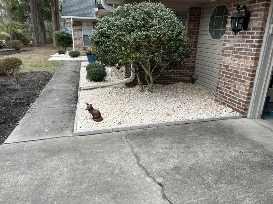 Rock bed with a shaped shrub at a brick entry