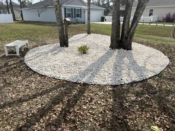 White rock ring around a cluster of trees