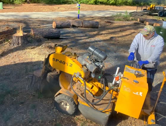 Grinding a stump with the stump grinder