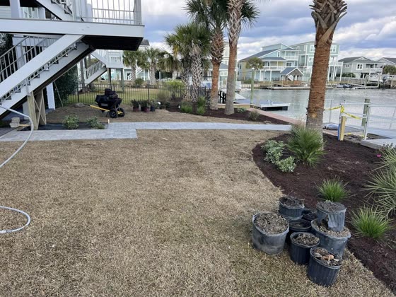 Waterfront yard prepped for sod with palms and new plants